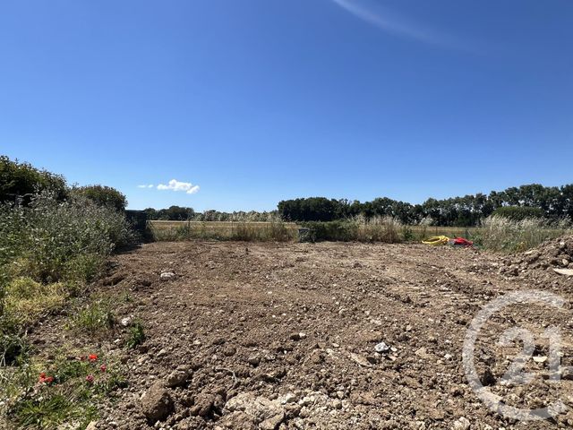 terrain - SALLES SUR MER - 17
