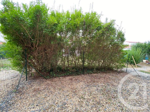 maison à louer - 3 pièces - 55.87 m2 - COURCON - 17 - POITOU-CHARENTES - Century 21 Agence Du Centre Ville